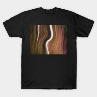 Forest Illusions- First Light T-Shirt